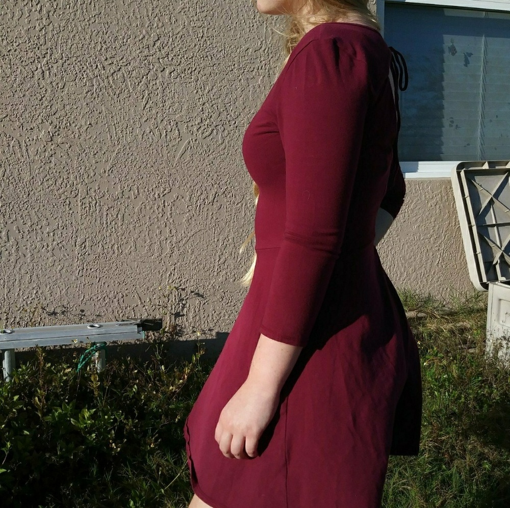 Burgendy skater  dress